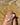 quartz crystal wand the prism chakrub on a knee with pearl necklace and shell on the beach on a beach towel