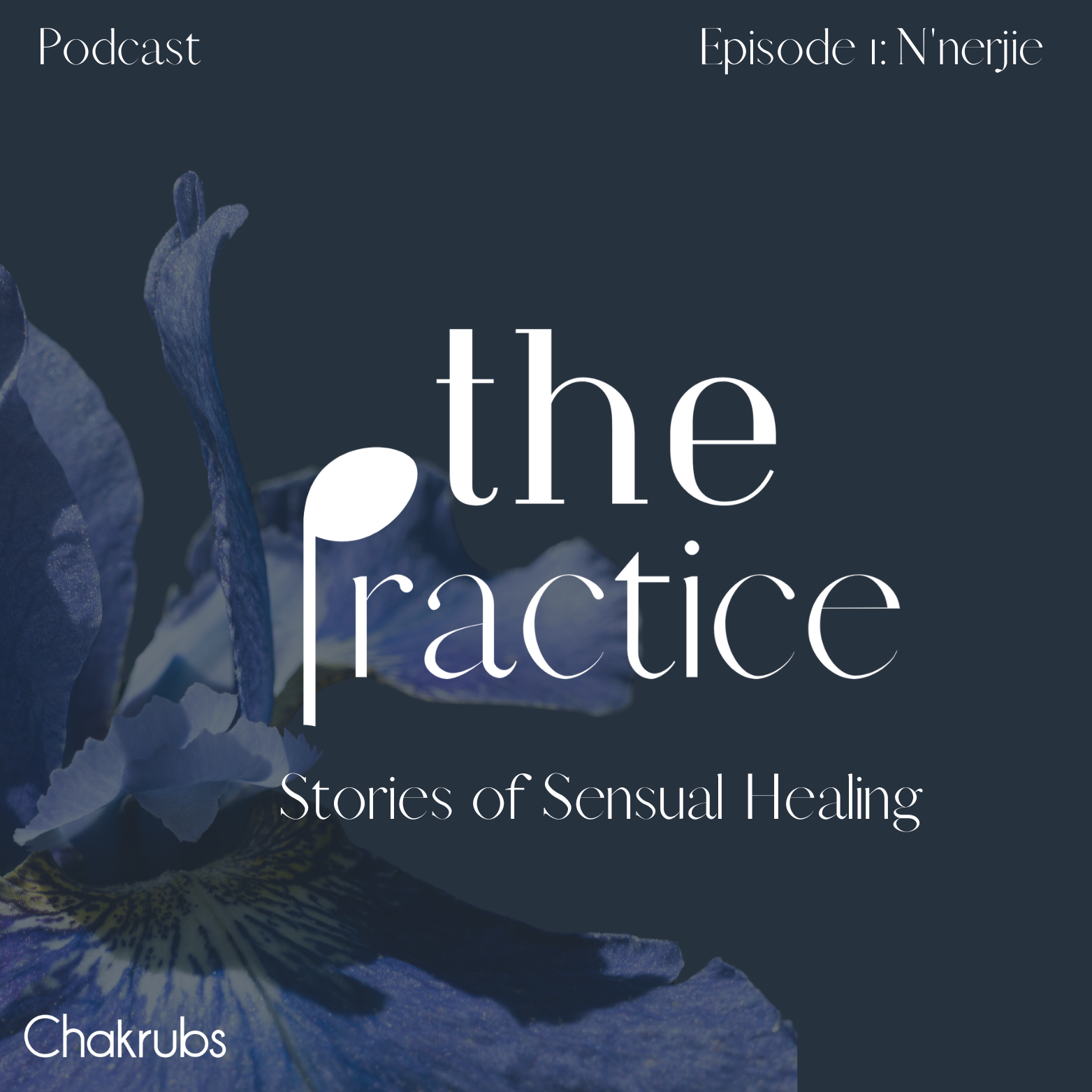 Introducing "The Practice: Stories of Sensual Healing" Podcast - Featuring N'nerjie